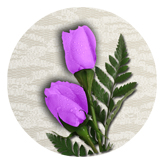 DAROUND 052 2 Roses Lavender